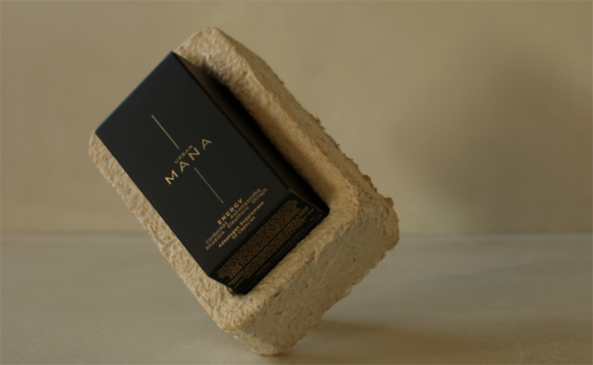 保健品包裝設(shè)計(jì)參考-蘑菇提取物(圖2)