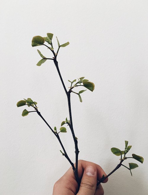 哈爾濱紅腸包裝設(shè)計(jì)參考(圖4) 哈爾濱紅腸包裝設(shè)計(jì)參考(圖4)