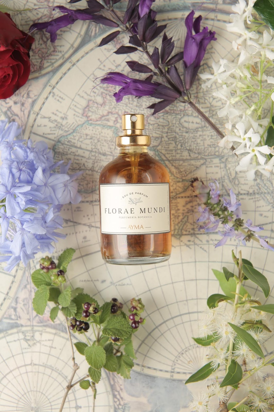 香水精油創(chuàng)意包裝盒(圖7)