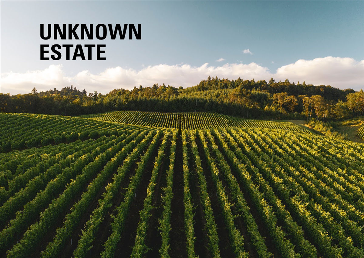 紅酒包裝設(shè)計(jì)(圖2)