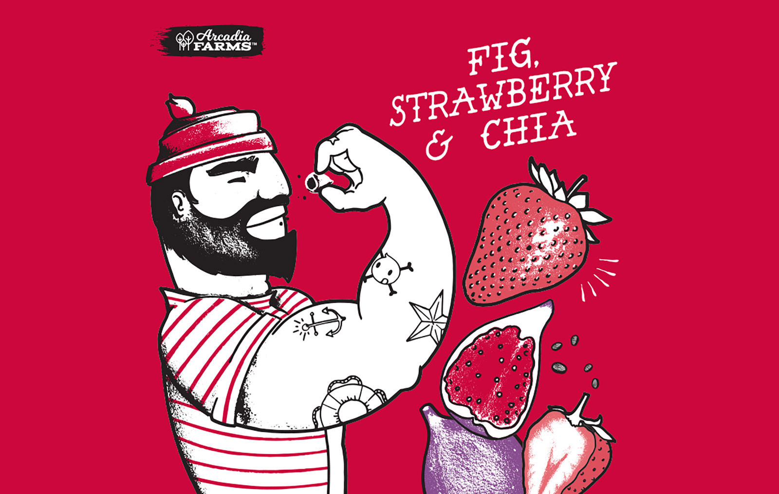 果干包裝設(shè)計(jì)說明(圖10)