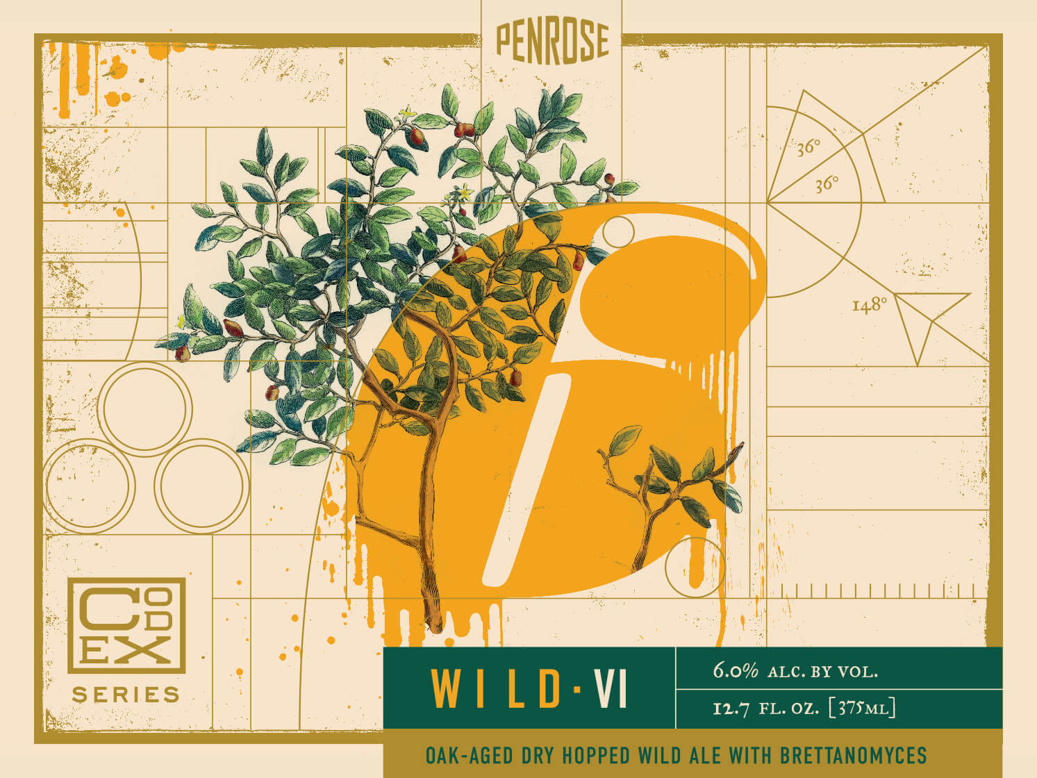 成都啤酒產(chǎn)品創(chuàng)意包裝設(shè)計欣賞(圖5)