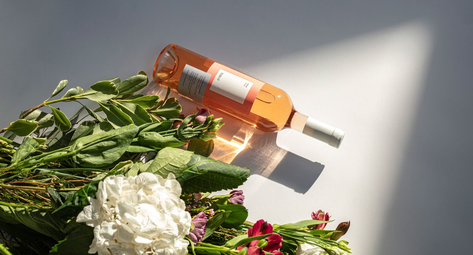 蘇州紅酒包裝設(shè)計(jì)欣賞(圖8)