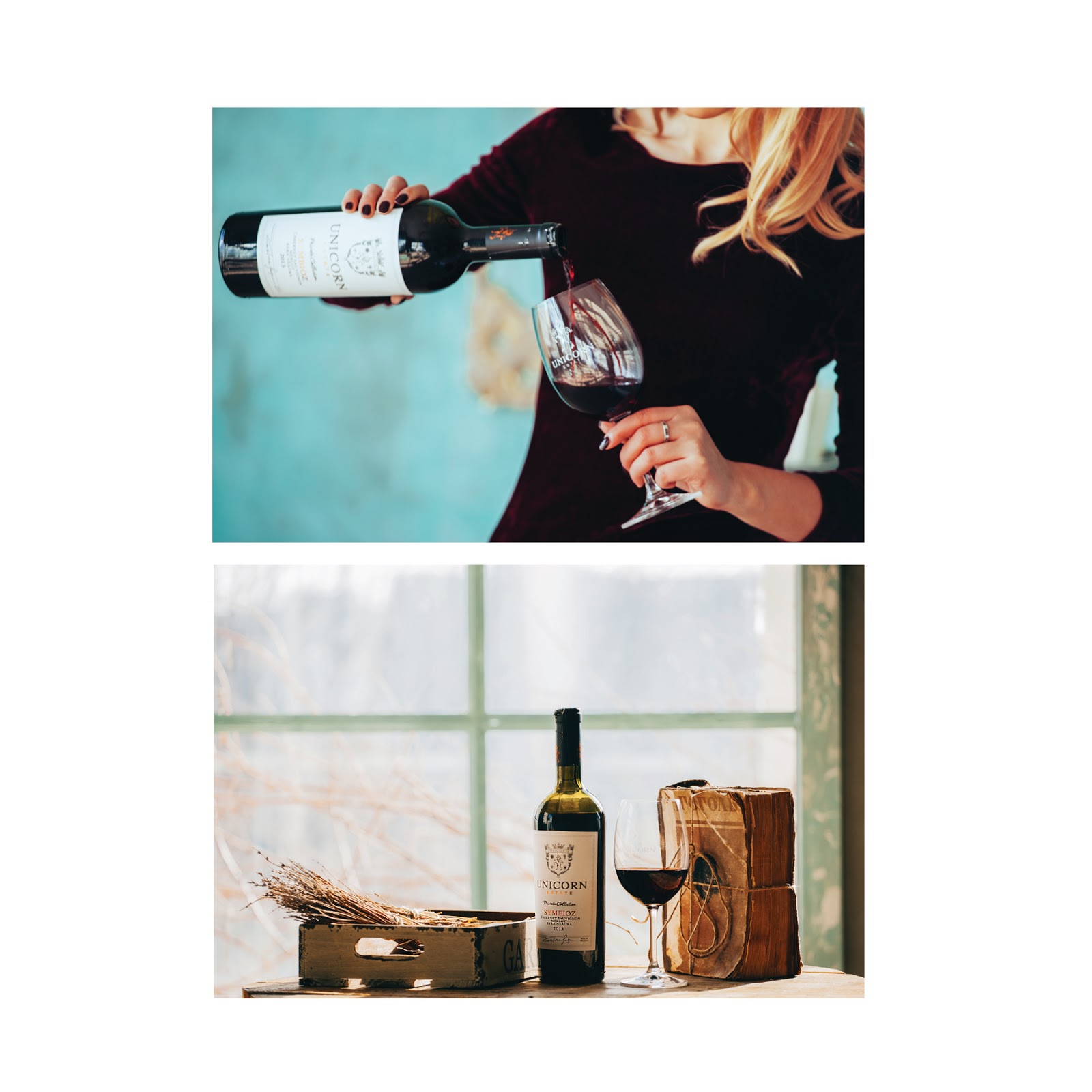 濰坊紅酒包裝設計(圖3) 濰坊紅酒包裝設計(圖3)