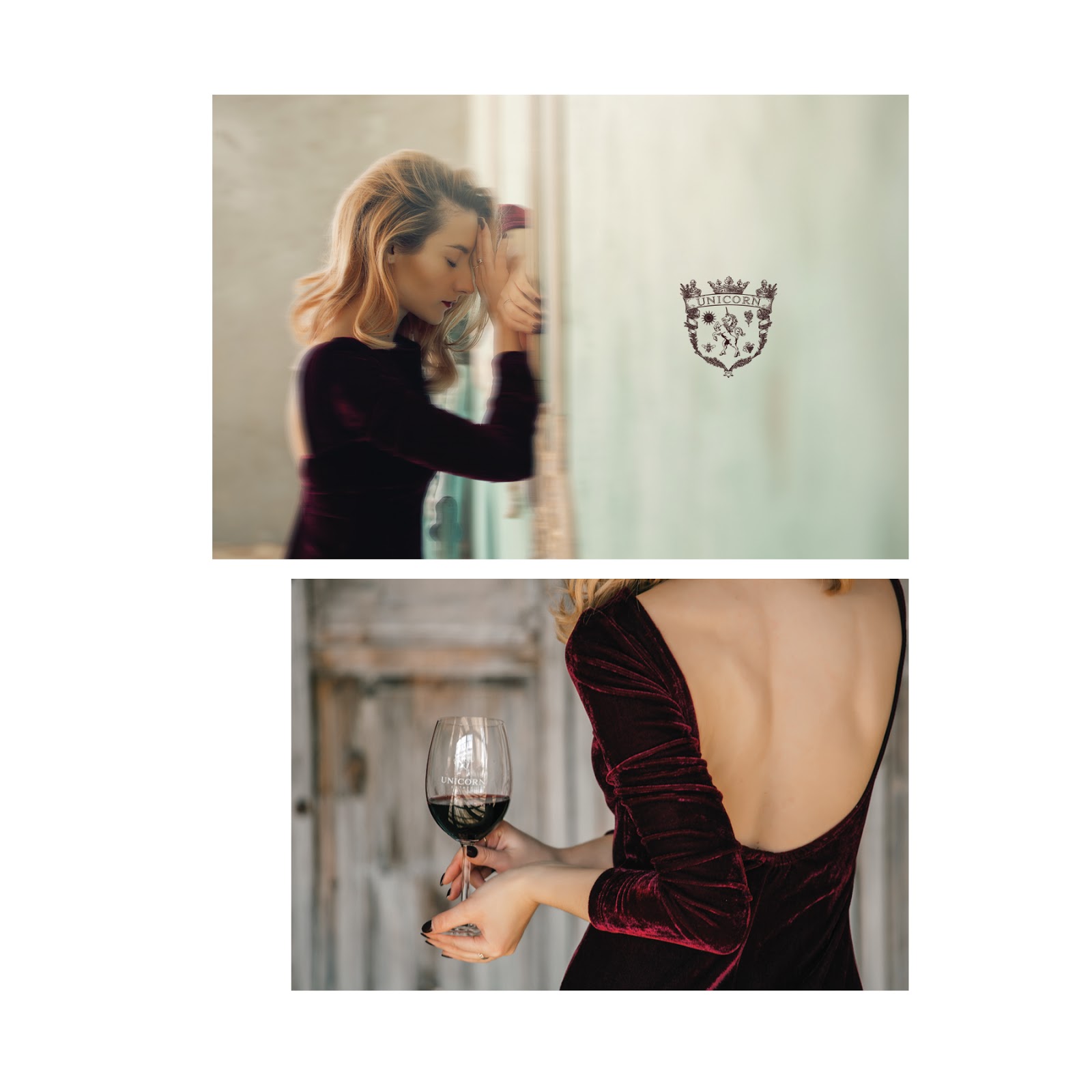 濰坊紅酒包裝設計(圖4)