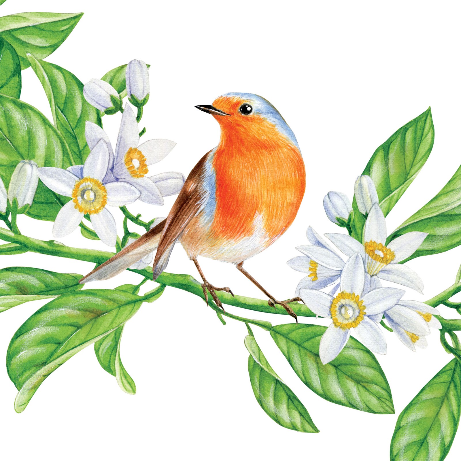 貴陽果汁飲料包裝設(shè)計(jì)公司(圖3)