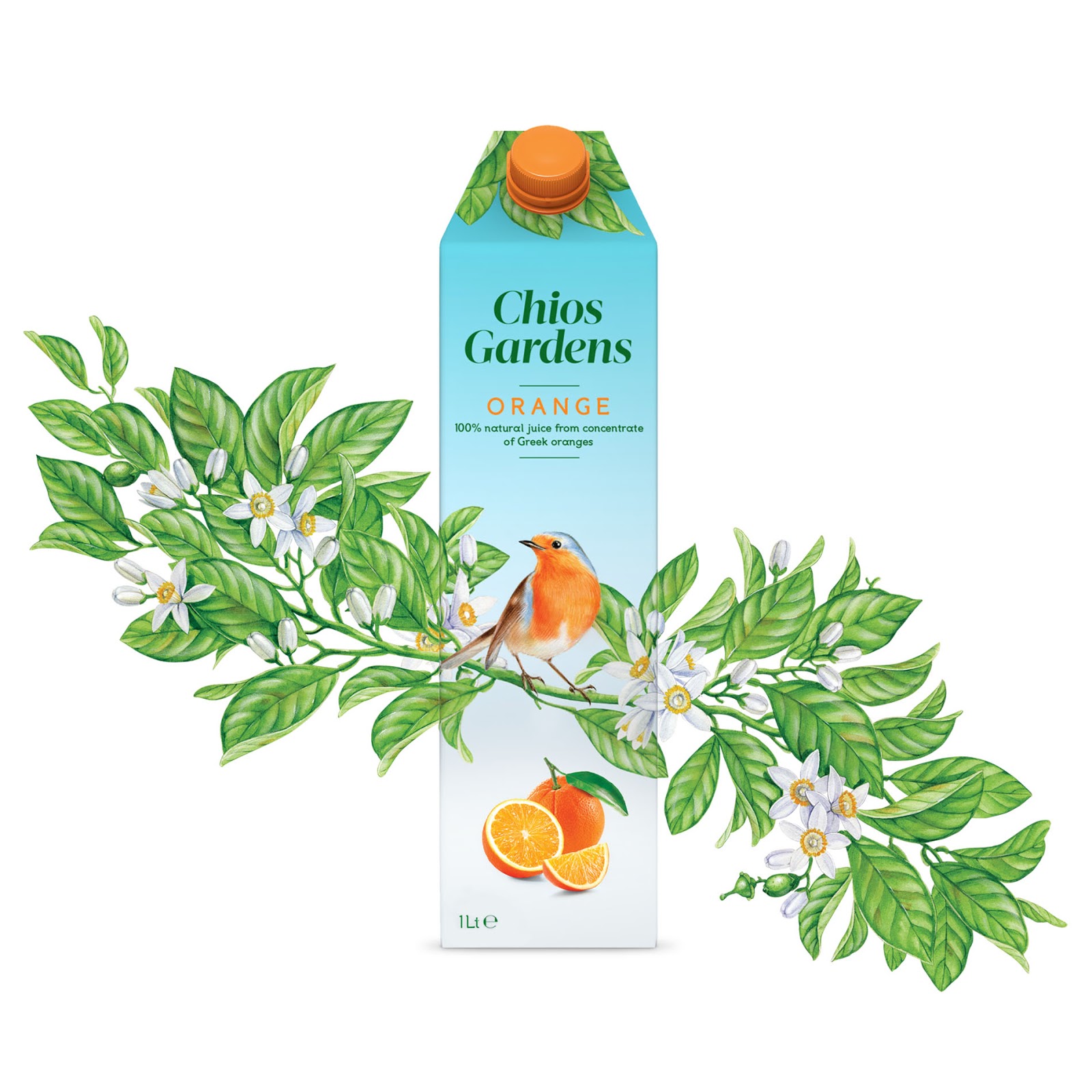 貴陽果汁飲料包裝設(shè)計(jì)公司(圖4)