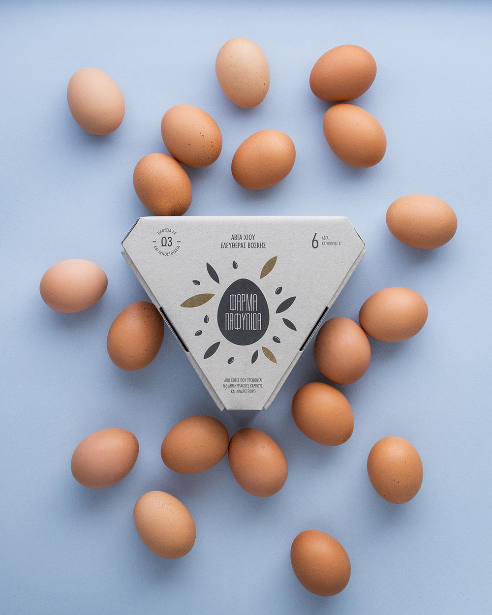 雞蛋包裝設計不一定意味著土(圖7)