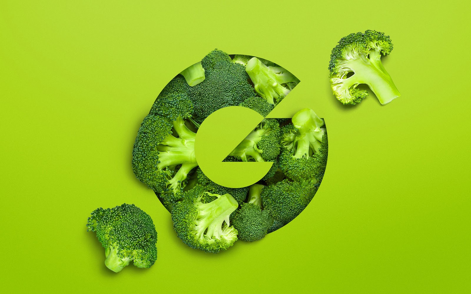 有機(jī)蔬菜包裝設(shè)計(jì)(圖1)