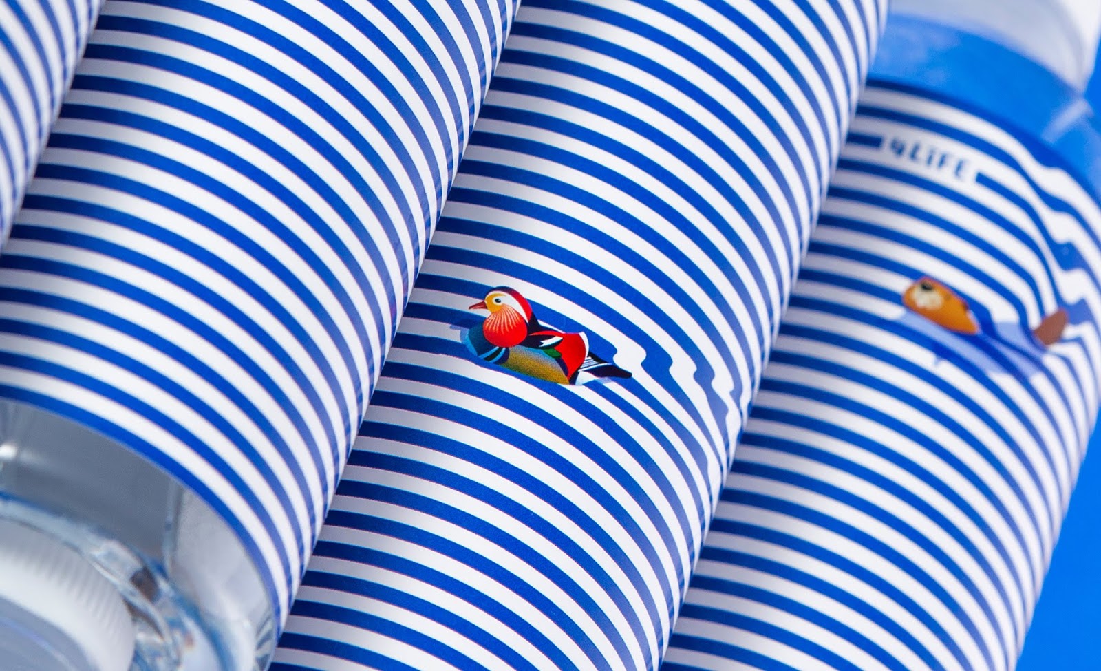 天然泉水包裝設(shè)計(圖5)