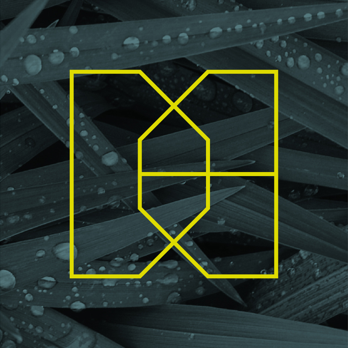 用攝影來(lái)表達(dá)啤酒包裝設(shè)計(jì)(圖3)