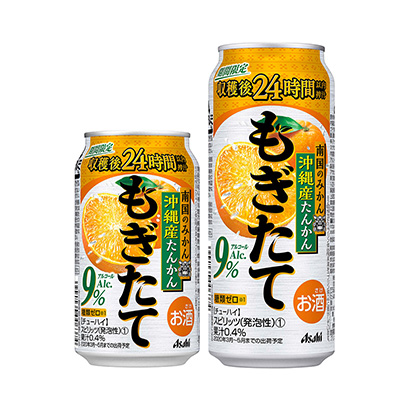 啤酒果啤包裝設(shè)計(圖2)