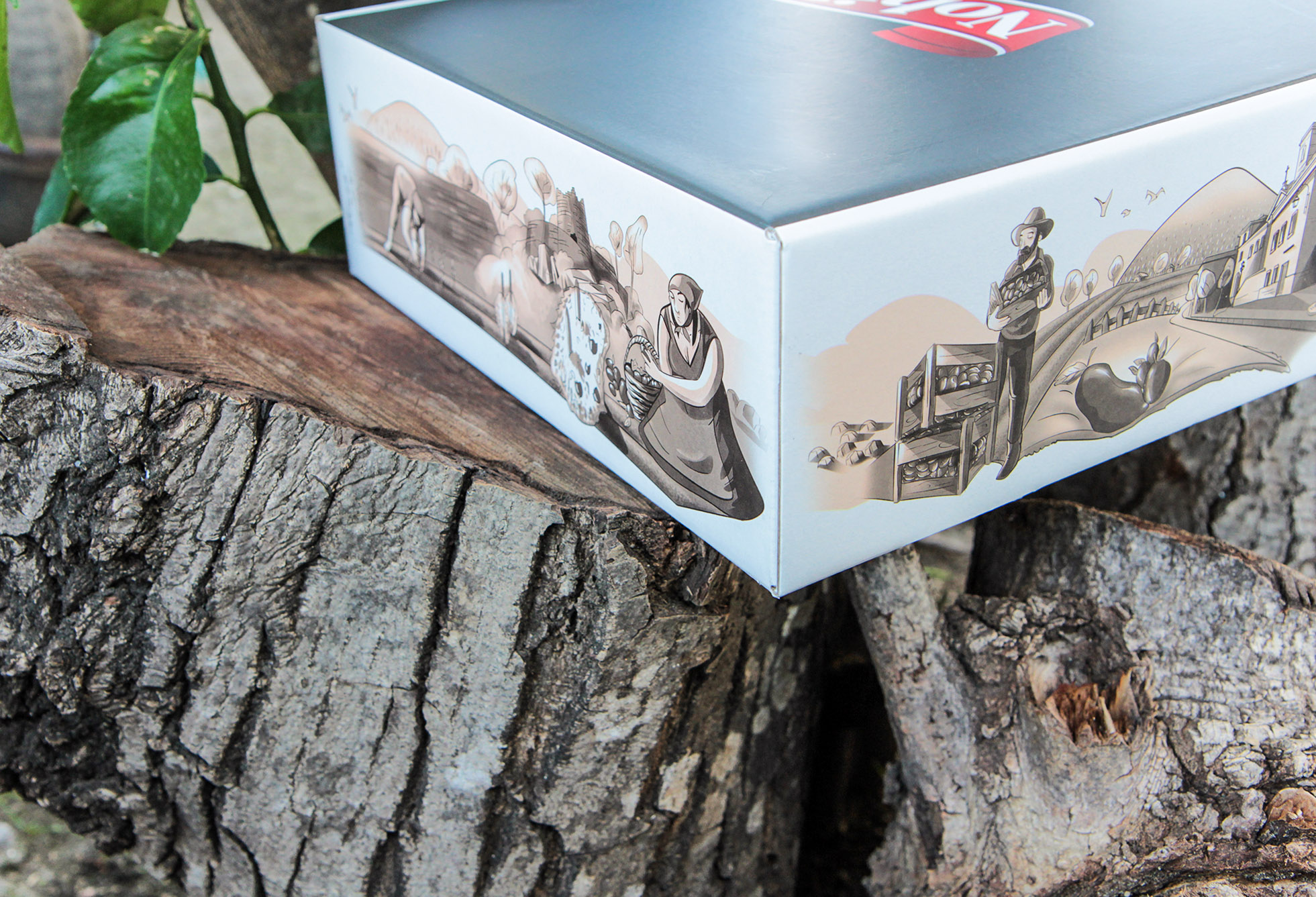 罐頭蜜餞食品包裝設(shè)計(jì)(圖5) 罐頭蜜餞食品包裝設(shè)計(jì)(圖5)