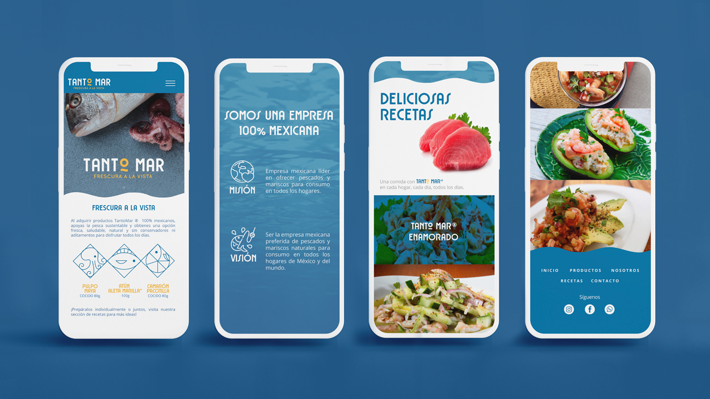 魷魚食品零食包裝設(shè)計(jì)(圖15)