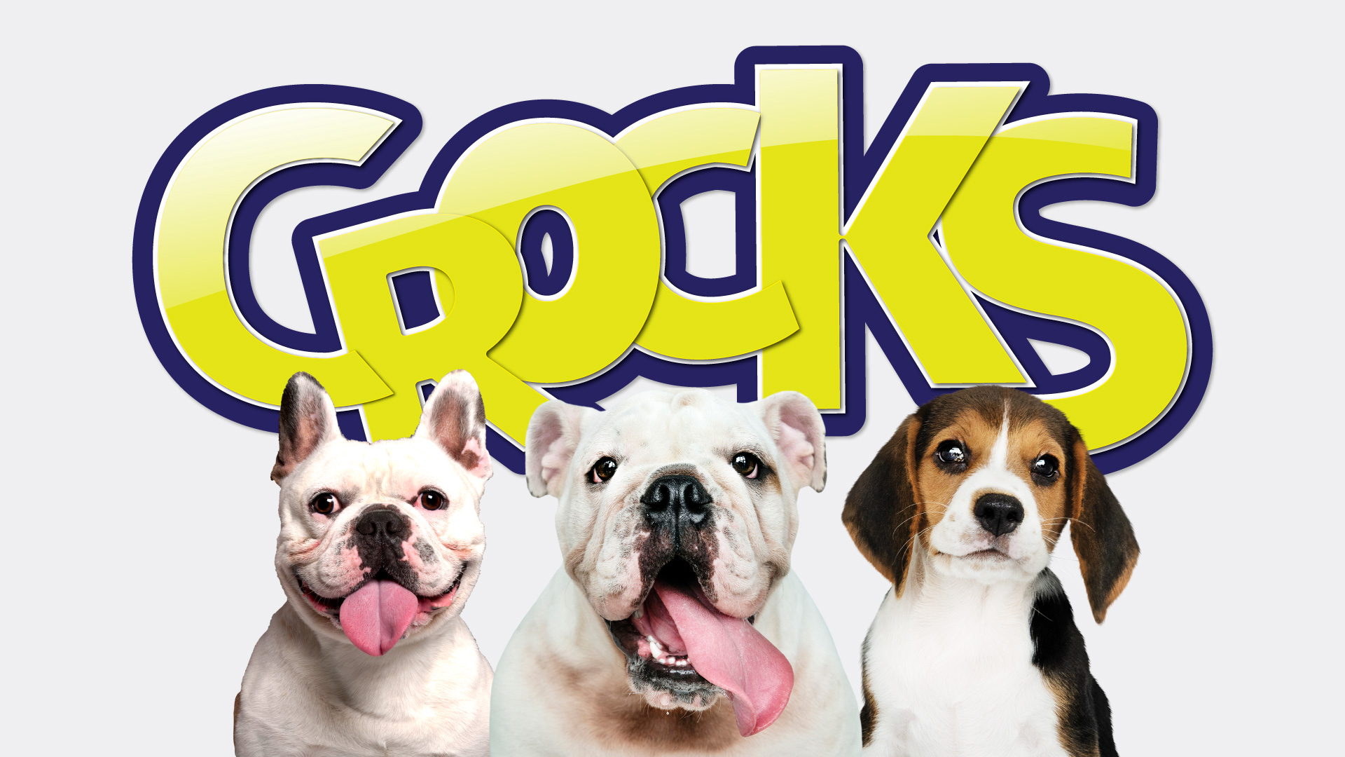 寵物包裝設(shè)計(jì)欣賞狗食品狗糧包裝設(shè)計(jì)欣賞包裝設(shè)計(jì)(圖4) 寵物包裝設(shè)計(jì)欣賞狗食品狗糧包裝設(shè)計(jì)欣賞包裝設(shè)計(jì)(圖4)