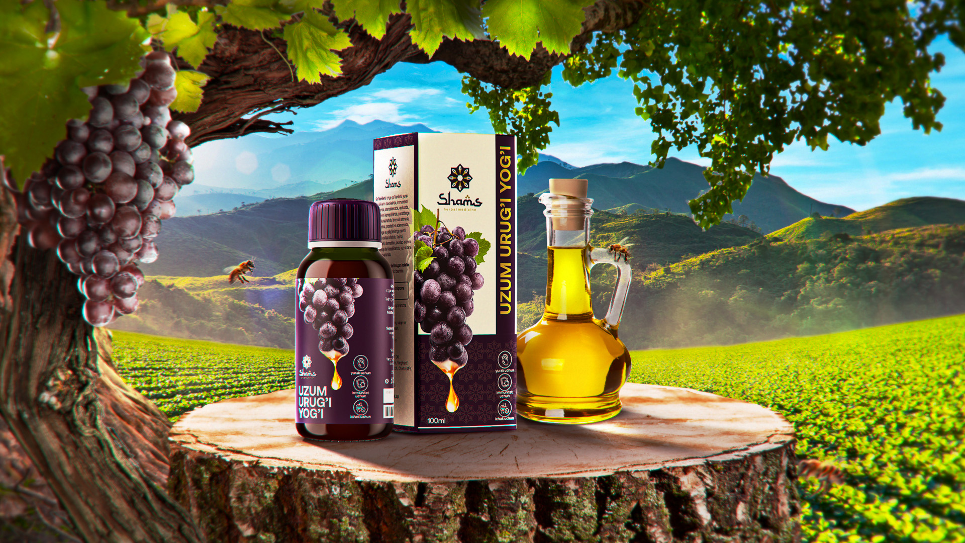 天然草本油獨特創(chuàng)意包裝設(shè)計(圖4)