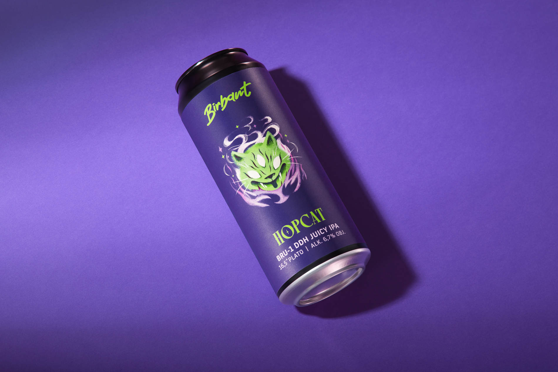 國外啤酒創(chuàng)意包裝設(shè)計參考(圖20)