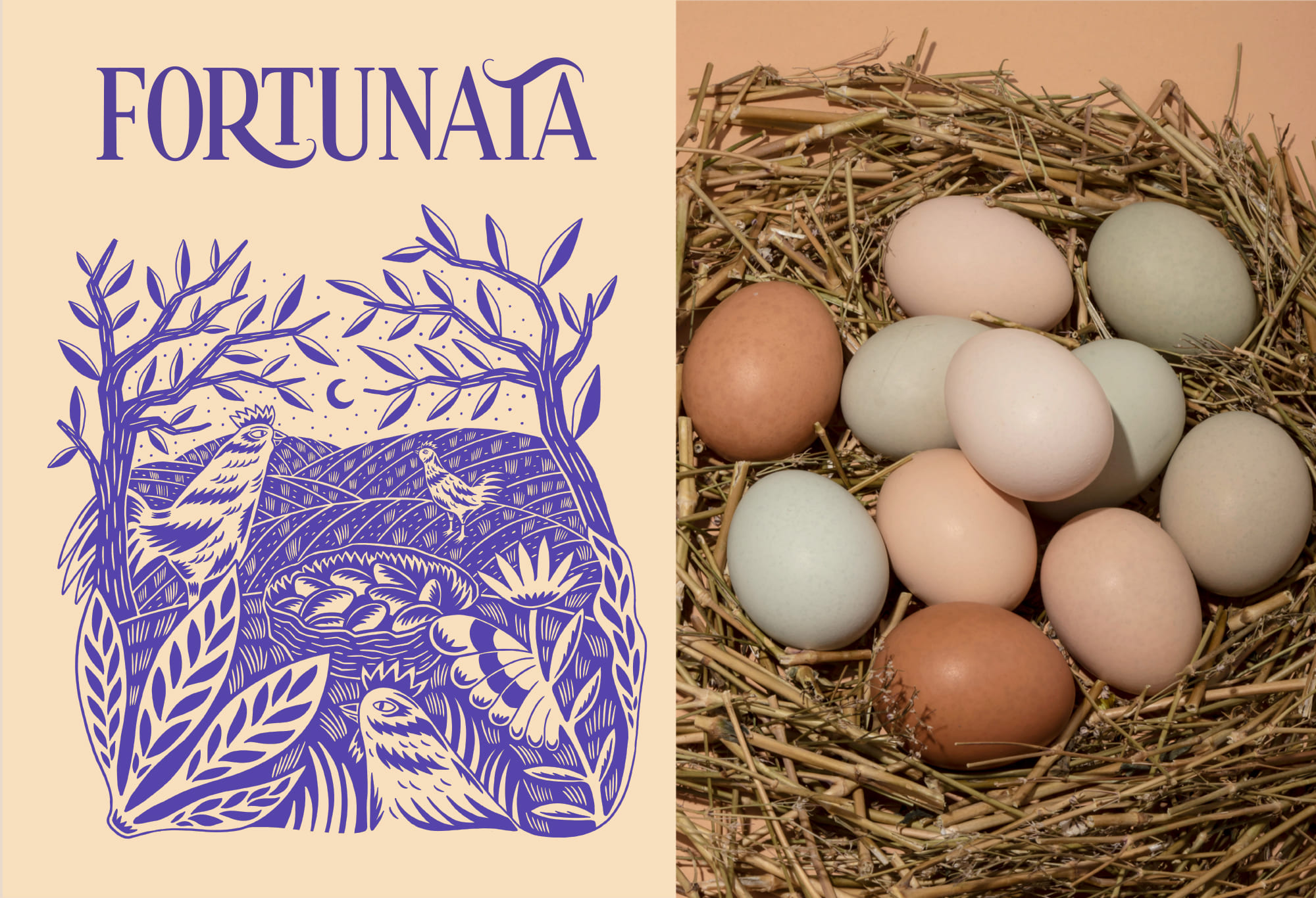 農(nóng)產(chǎn)品雞蛋視覺包裝設(shè)計(jì)這樣做(圖5) 農(nóng)產(chǎn)品雞蛋視覺包裝設(shè)計(jì)這樣做(圖5)