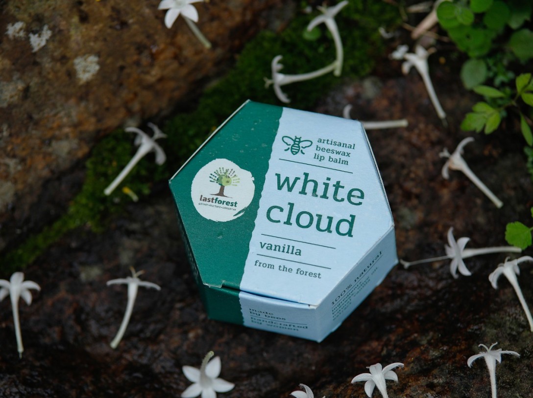 ?Last Forest 手工蜂蠟潤唇膏的包裝設(shè)計(圖2)