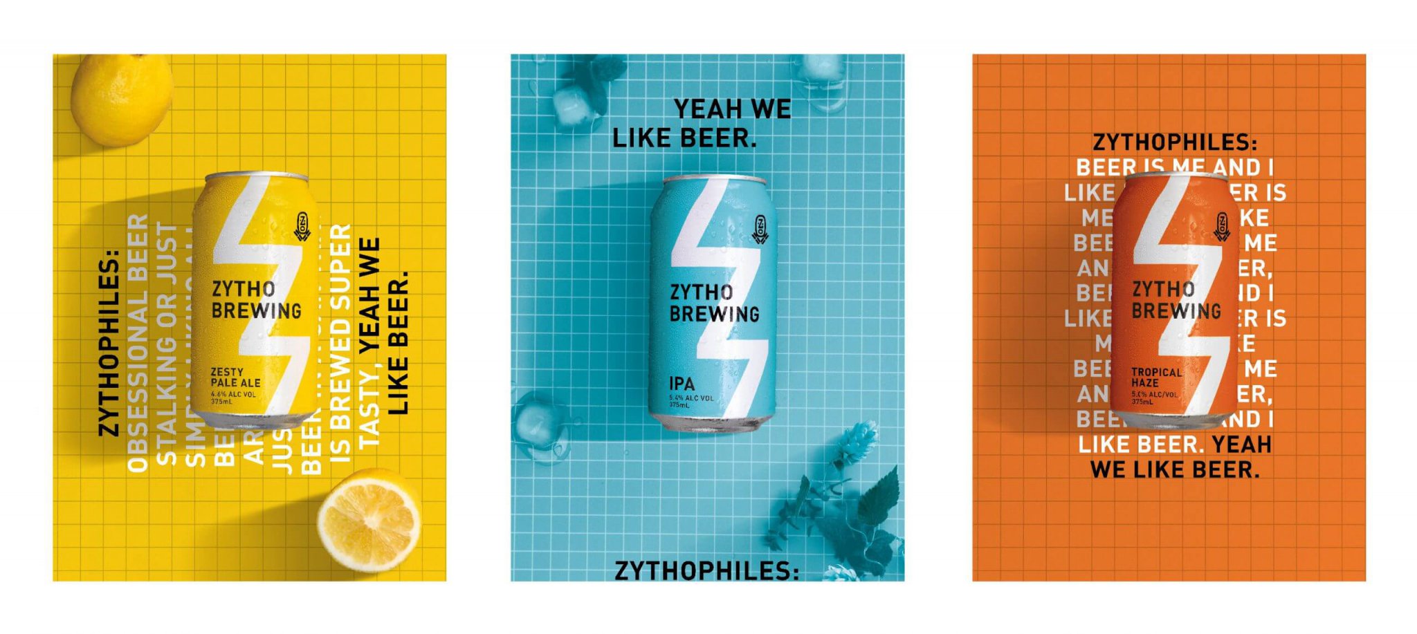 灌裝精釀啤酒飲料視覺包裝設(shè)計(jì)參考(圖2)