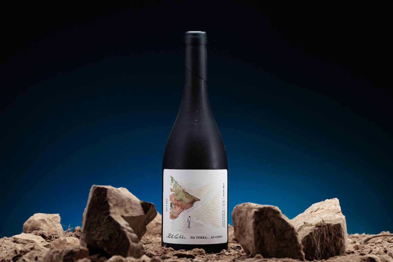 簡(jiǎn)約優(yōu)雅的葡萄酒包裝設(shè)計(jì)參考(圖4)