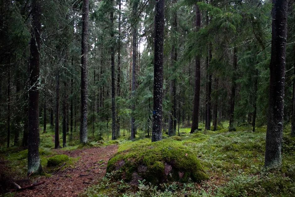 四喜：你觸摸到天花板了嗎？(圖2)