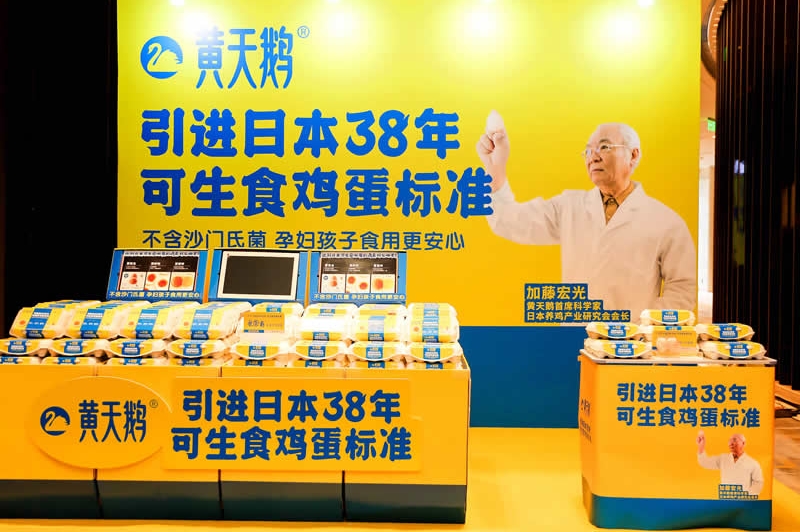 黃天鵝可生食雞蛋&大師小點蛋撻品牌包裝全案設(shè)計