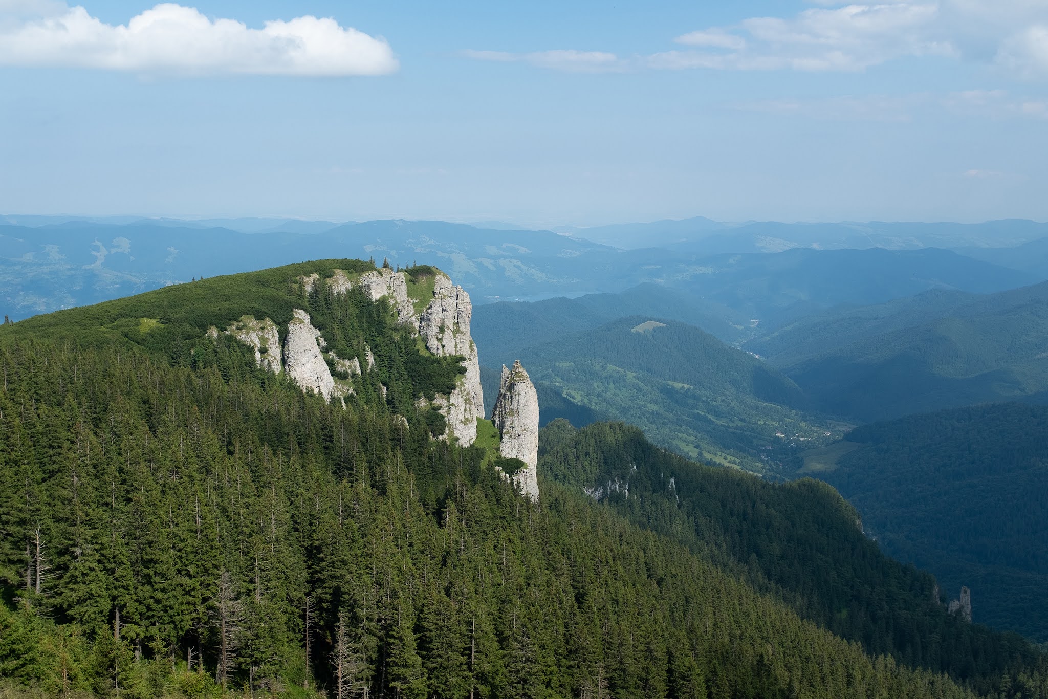 山脈樹的年輪概念的酒包裝設計(圖14) 山脈樹的年輪概念的酒包裝設計(圖14)