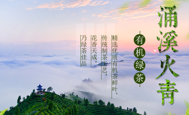 涌溪火青 涌溪火青品牌logo與產(chǎn)品包裝設(shè)計(jì)欣賞(圖2)