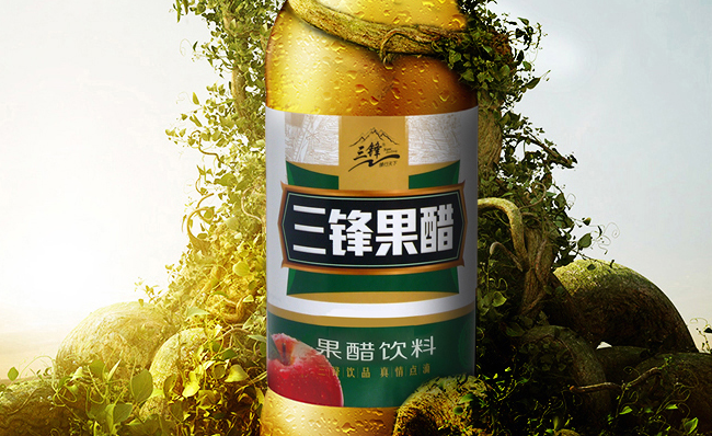 三鋒 三鋒品牌logo與食品包裝設(shè)計(jì)欣賞(圖4)