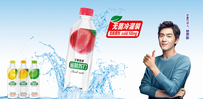 中沃品牌logo與食品包裝設(shè)計欣賞(圖3)