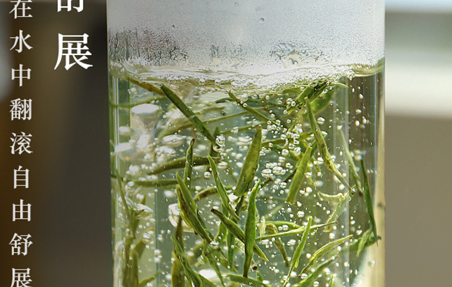 陽春白雪品牌logo與食品包裝設(shè)計欣賞(圖4)