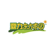 鼎力東方棗園品牌logo與食品包裝設(shè)計(jì)欣賞(圖1)