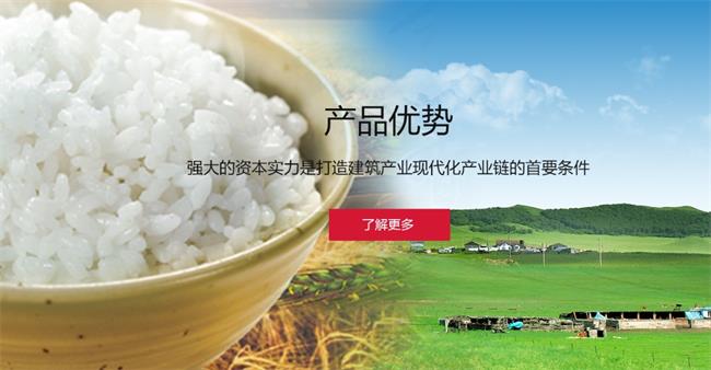 雨森大米 雨森品牌logo與食品包裝設(shè)計欣賞(圖4)