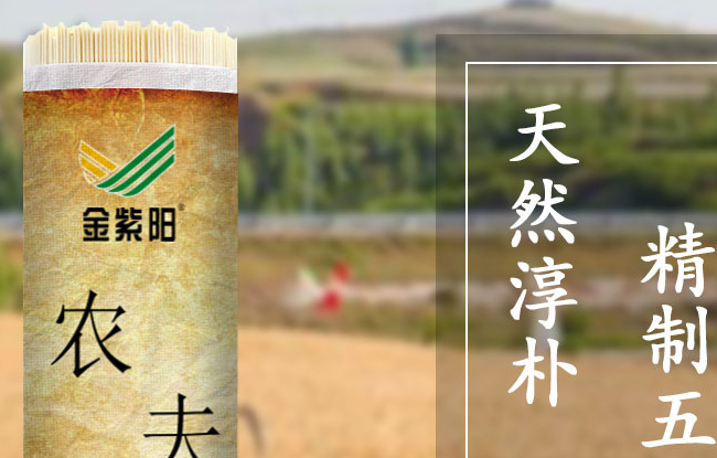 金紫陽品牌logo與食品包裝設(shè)計欣賞(圖3)