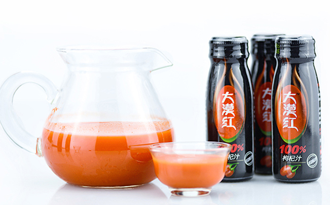 大漠紅品牌logo與食品包裝設(shè)計欣賞(圖2)