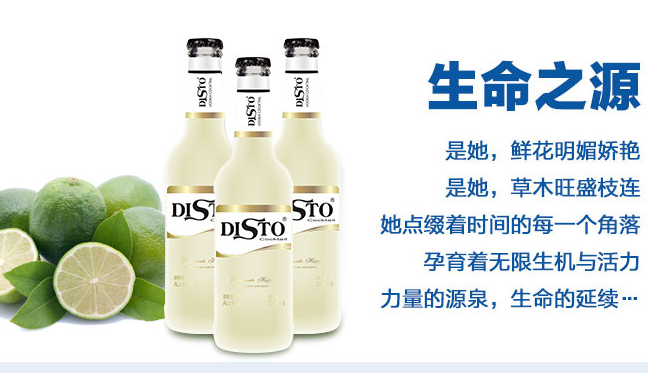 DISTO迪士品牌logo與食品包裝設(shè)計欣賞(圖2)