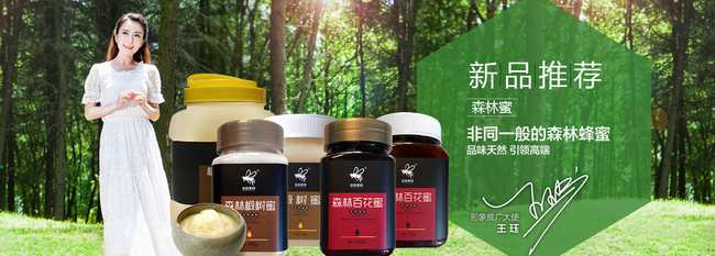 迎春黑蜂品牌logo與食品包裝設(shè)計(jì)欣賞(圖3)