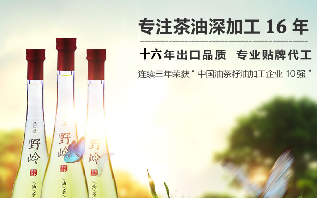 野嶺品牌logo與食品包裝設(shè)計(jì)欣賞(圖2)