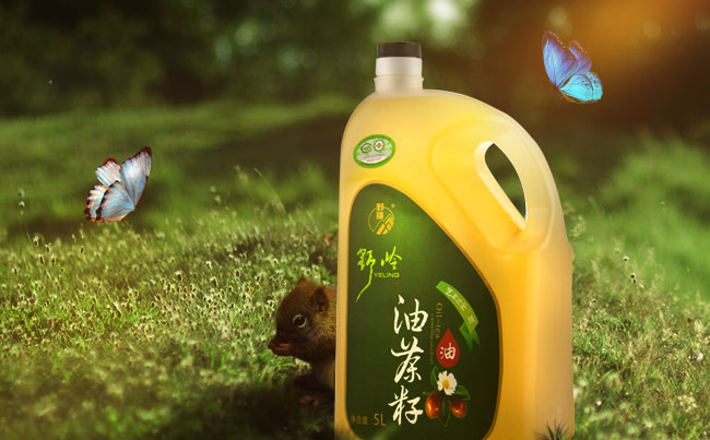 野嶺品牌logo與食品包裝設(shè)計(jì)欣賞(圖3)