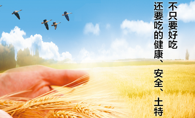 七河源 七河源品牌logo與食品包裝設(shè)計(jì)欣賞(圖3)