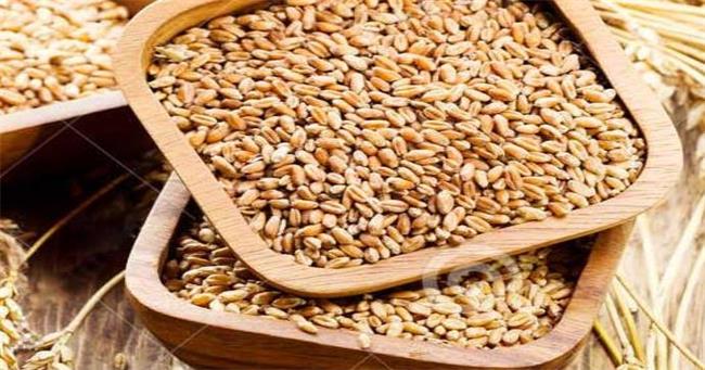 谷淳品牌logo與食品包裝設計欣賞(圖2)