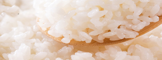 瓦埠湖品牌logo與食品包裝設(shè)計欣賞(圖2)