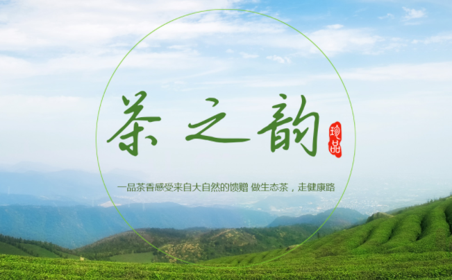 曾老七品牌logo與食品包裝設計欣賞(圖4)