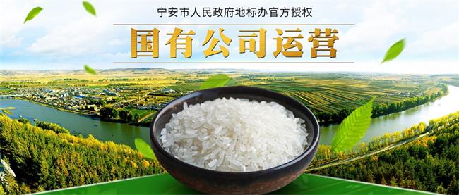 響水大米品牌logo與食品包裝設(shè)計(jì)欣賞(圖2)