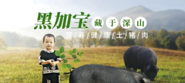 SBODY斯寶帝品牌logo與食品包裝設(shè)計(jì)欣賞(圖3)