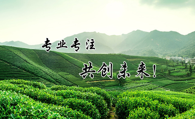 翠都綠茶 CUIDU翠都品牌logo與食品包裝設計欣賞(圖4)