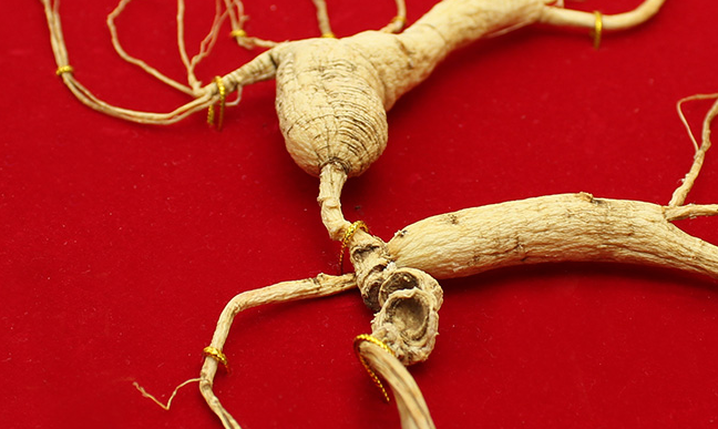 金立華品牌logo與食品包裝設(shè)計(jì)欣賞(圖4)