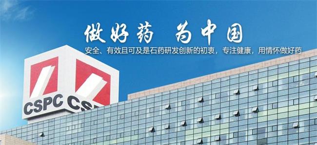 CSPC石藥品牌logo與食品包裝設(shè)計(jì)欣賞(圖4)