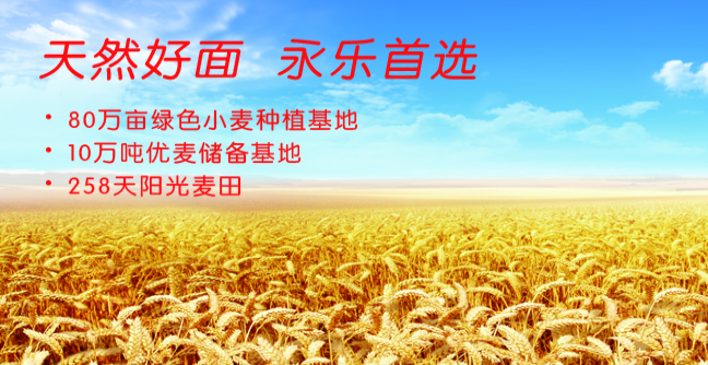 永樂食品 永樂食品包裝設(shè)計(jì)欣賞(圖3)